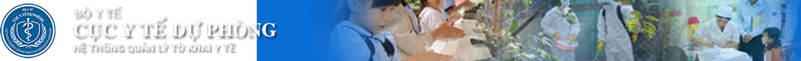 banner_vi